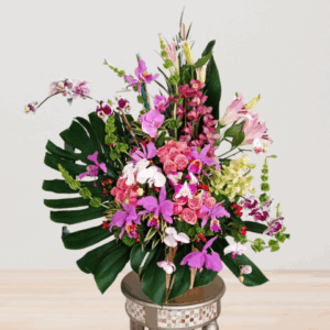 Orquídeas con amor